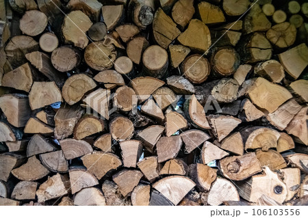 Photography on theme big wall of stacked oak tree logs in cracks 106103556