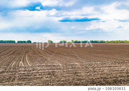 Photography on theme big empty farm field for organic harvest 106103631