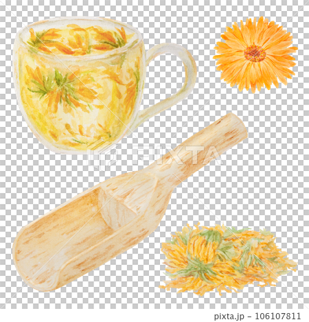 Orange calendula officinalis in wooden scoop for bulk products and cup of tea. Watercolor hand drawn illustration. Botanical element for labels, eco goods, textiles, natural herbal medcine, cosmetics Orange calendula officinalis in wooden scoop for bulk products and cup of tea. Watercolor hand drawn illustration. Botanical element for labels, eco goods, textiles, natural herbal medcine, cosmetics 106107811