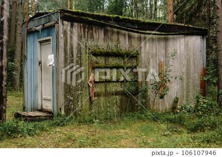 old hut in the forest covered with moss and lichens 106107946
