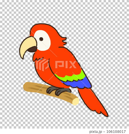 可愛的鸚鵡圖 106108017