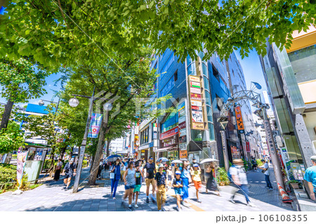 日本の東京都市景観 夏の日差しと緑…池袋駅前のサンシャイン中央通りなどを望む（左奥は池袋駅） 106108355