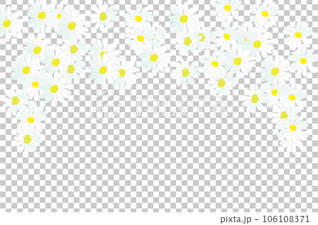都忘れの花のカード13 106108371