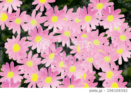 都忘れの花のカード1 106108382