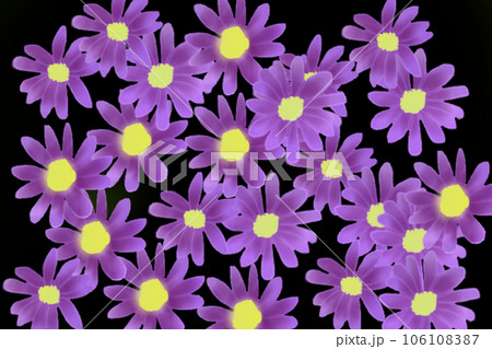 都忘れの花のカード5 106108387