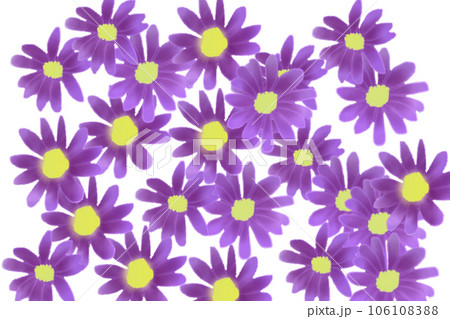 都忘れの花のカード6 106108388