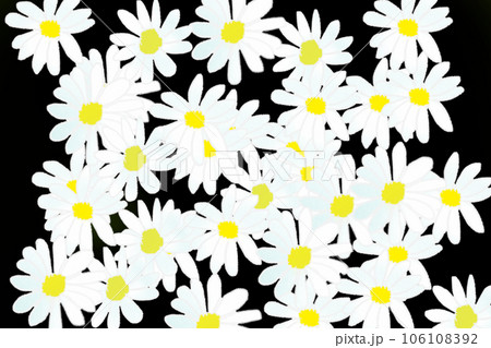 都忘れの花のカード10 106108392