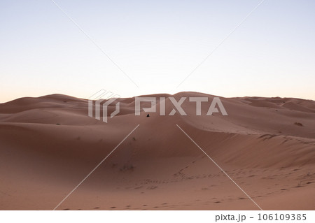 footprints of camels and bedouins on the sand dunes of the sahara desert in morocco footprints of camels and bedouins on the sand dunes of the sahara desert in morocco 106109385