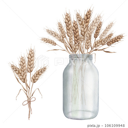 Ears of wheat in a glass vase jar. Autumn harvest. Watercolor hand painting illustration on isolated white background. For design bakery, home products, restaurant menu element, recipe cooking book Ears of wheat in a glass vase jar. Autumn harvest. Watercolor hand painting illustration on isolated white background. For design bakery, home products, restaurant menu element, recipe cooking book 106109948