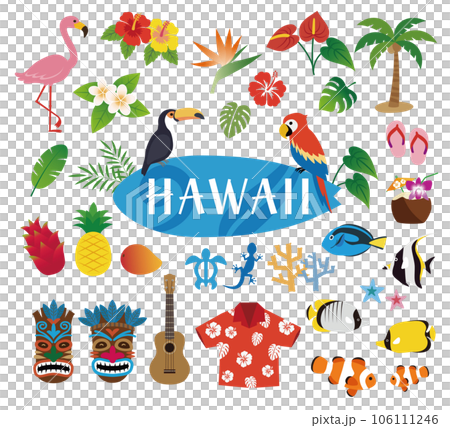 夏威夷材質插畫圖標集熱帶鳥、芙蓉、雞蛋花、提基面具、alohasi 106111246