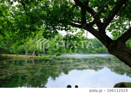 鳥沼公園 106112029