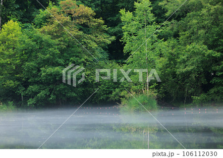 鳥沼公園 106112030