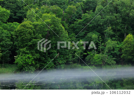 鳥沼公園 106112032