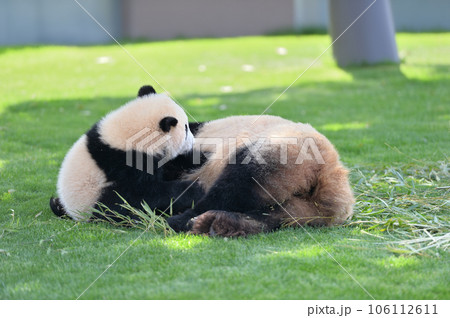 良浜ママからおっぱいをもらう優浜 106112611