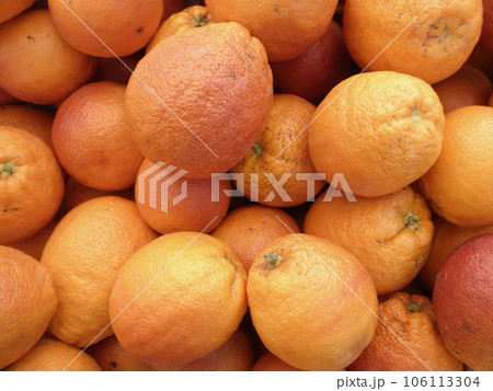 Organic Blood Oranges 106113304