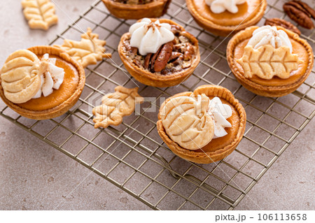 Mini pumpkin and pecan pies baked in muffin tin 106113658