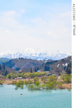 白川湖の水没林（山形県） 106113774