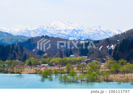 白川湖の水没林(山形県) 白川湖の水没林(山形県) 106113797