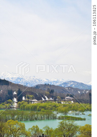 白川湖の水没林（山形県） 106113825