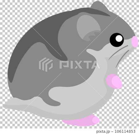 Djangarian倉鼠 106114853