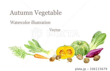 水彩で描いた秋の野菜のイラスト　ベクター 106115679