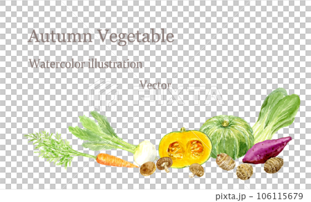 水彩で描いた秋の野菜のイラスト　ベクター 106115679