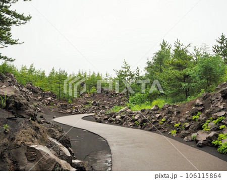 桜島の観光スポット、有村溶岩展望所の散策路 桜島の観光スポット、有村溶岩展望所の散策路 106115864