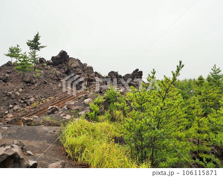 桜島の観光スポット、有村溶岩展望所の散策路 106115871