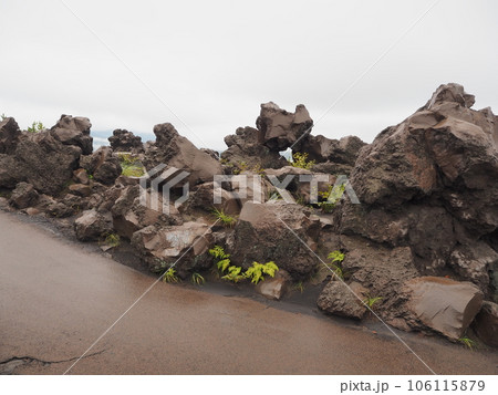 桜島の観光スポット、有村溶岩展望所の散策路 106115879