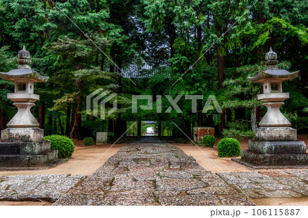 新緑が美しい曹源寺 106115887