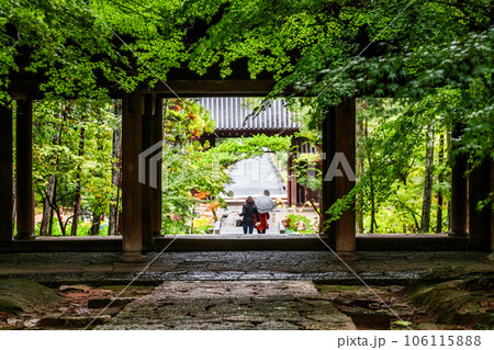 新緑に包まれた山門｜曹源寺 106115888
