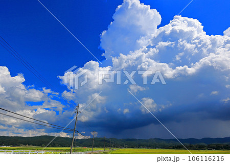 庄内平野田園と積乱雲 106116216