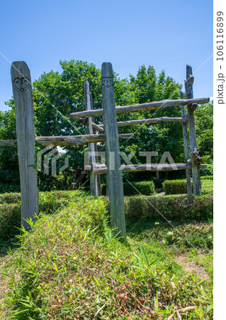 矢瀬遺跡　柱　真夏の風景　群馬県みなかみ町　　　　 106116899