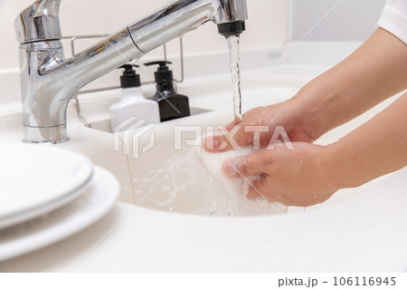 スポンジをもみ出す手元 The hand that squeezes out the sponge スポンジをもみ出す手元 The hand that squeezes out the sponge 106116945