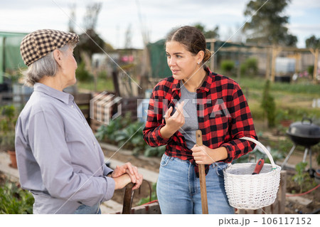 Two cheerful young and old female neighbors standing with busket and talking while digging garden on sunny day of autumn 106117152