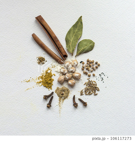 Set of spice scattered, top view Set of spice scattered, top view 106117273