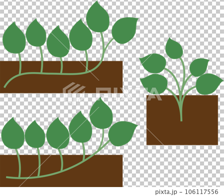 さつまいもの苗の色々な植え方のイラストセット 106117556