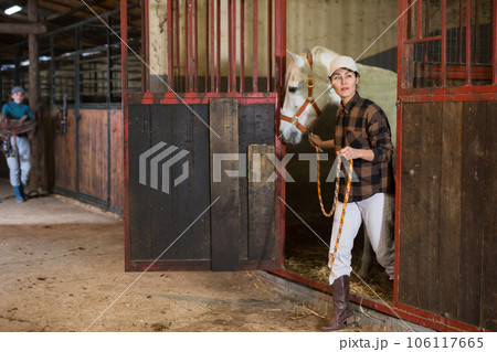 Horse breeder leading white horse through horse barn 106117665