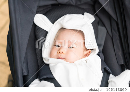 ベビーカーにのる日本人の赤ちゃん 106118060