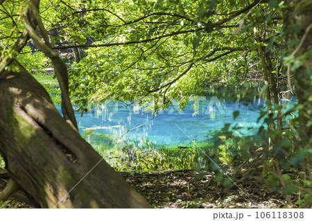 丸池様　山形県観光スポット 106118308