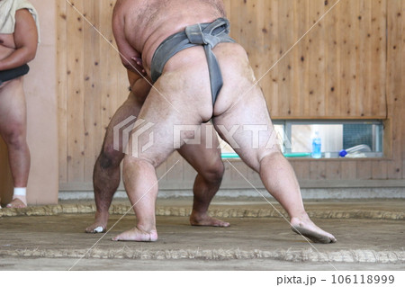 相撲 大相撲 力士 相撲 大相撲 力士 106118999