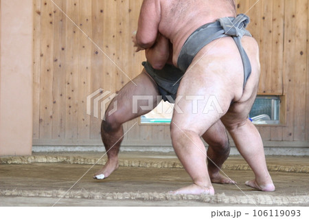 相撲　大相撲　力士 106119093