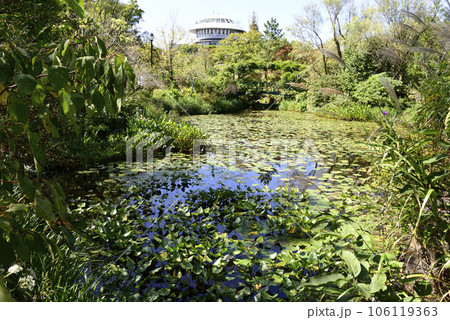 ガーデンミュージアム比叡　睡蓮の庭 106119363