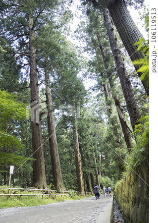 中尊寺　参道　月見坂を歩く観光客 106119513