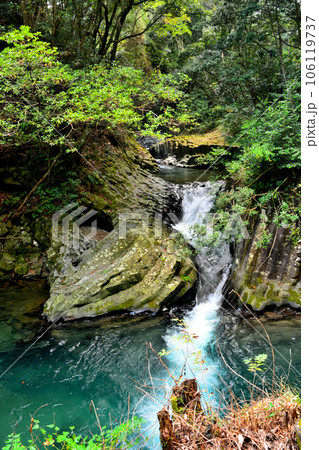 萩の入川と河津川本流との合流点に懸かる出会い滝 106119737