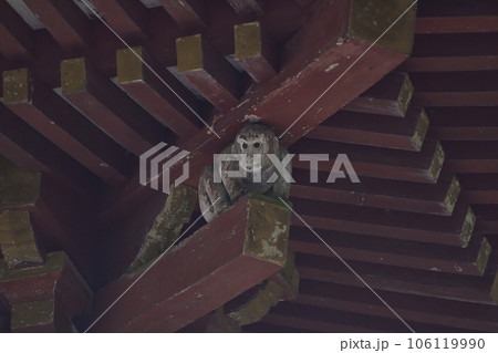 日吉大社 西本宮楼門(軒下)の神猿 日吉大社 西本宮楼門(軒下)の神猿 106119990