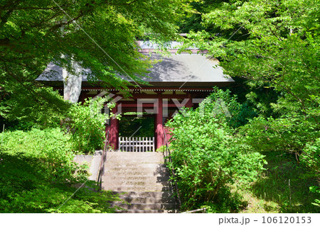 鎌倉 妙法寺 美しい仁王門と苔石段（神奈川県） 106120153