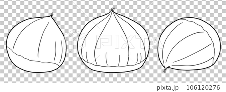 Simple chestnut line drawing illustration material Simple chestnut line drawing illustration material 106120276