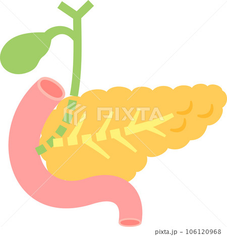 胆嚢と膵臓のデフォルメイラスト 胆嚢と膵臓のデフォルメイラスト 106120968