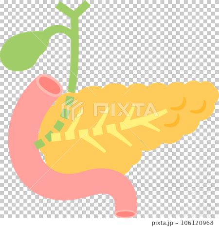 胆嚢と膵臓のデフォルメイラスト 胆嚢と膵臓のデフォルメイラスト 106120968